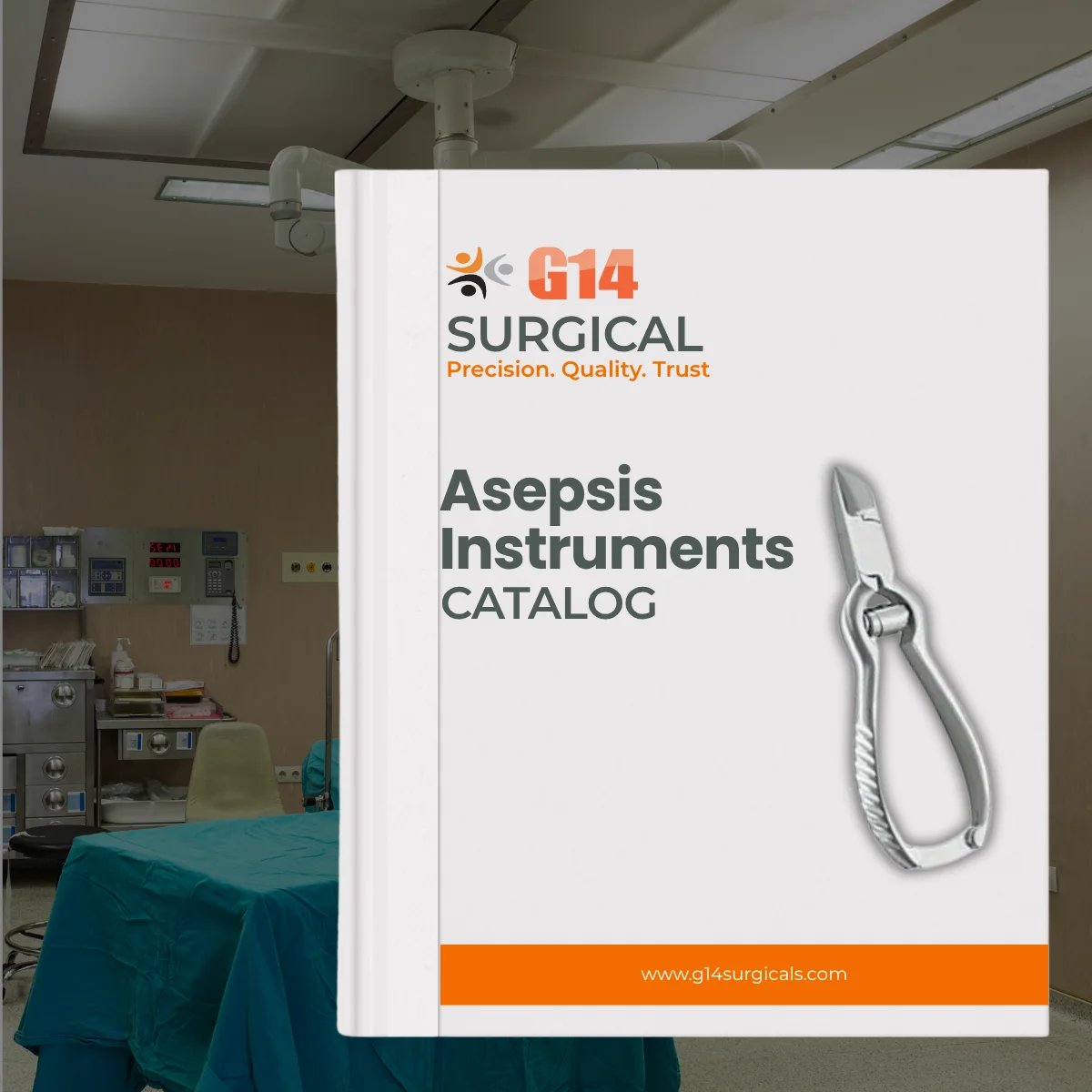 Asepsis Catalog