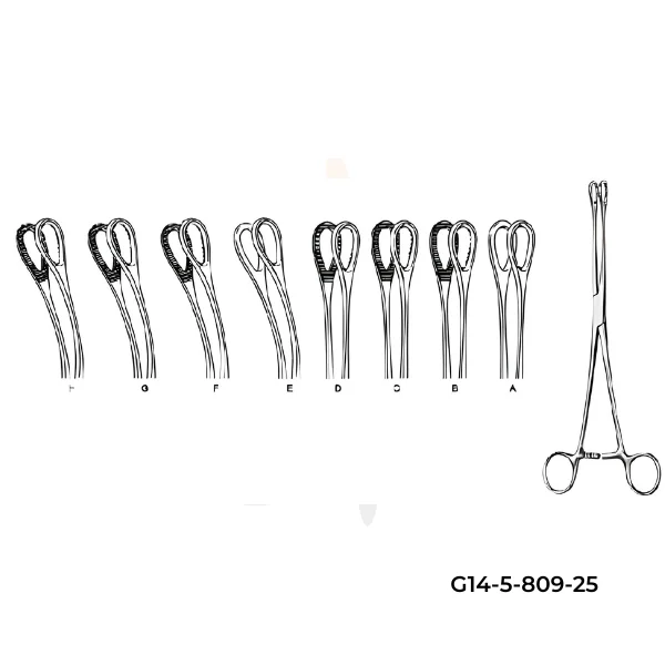 Foerster Sponge Forceps