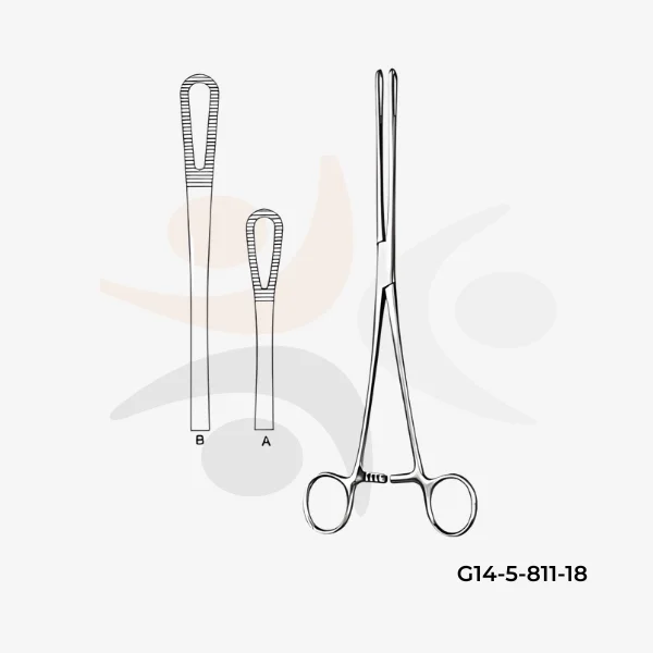 Rampley Sponge Forceps